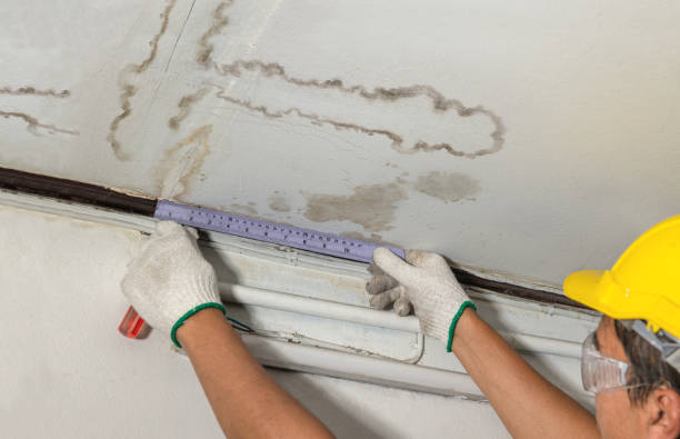 Reliable Basement Water Removal contractor in Riverview, MI by Water Damage Irwin